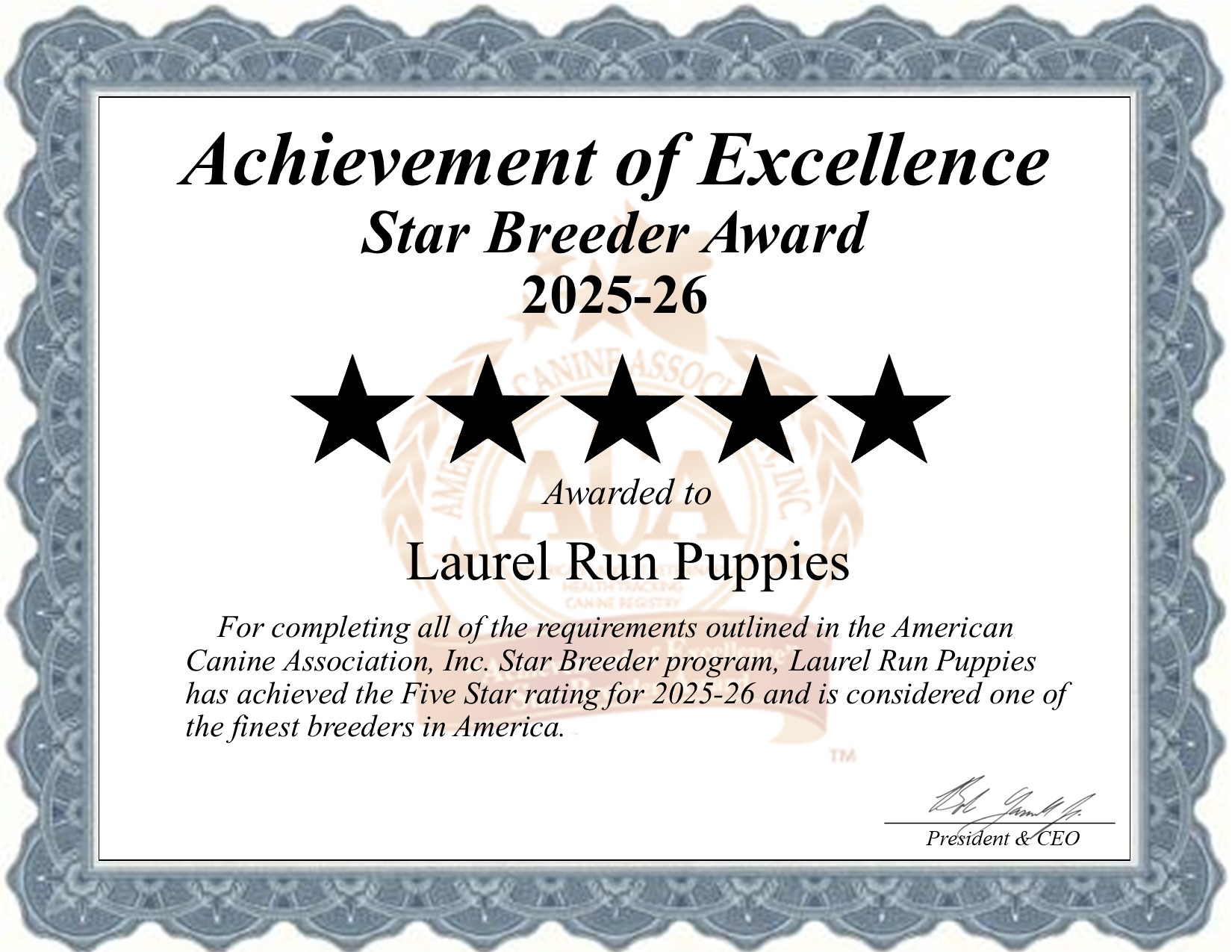 Laurel Run, Puppies, dog, breeder, star, certificate, Laurel Run-Puppies, East Earl, PA, Pennsylvania, puppy, dog, kennels, mill, puppymill, usda, 5-star, aca, ica, registered, Goldendoodle (Mini)